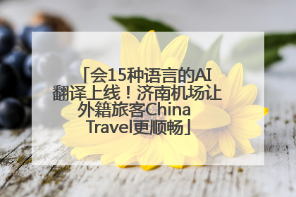 会15种语言的AI翻译上线！济南机场让外籍旅客China Travel更顺畅