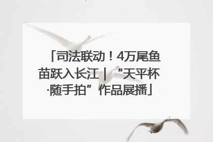 司法联动！4万尾鱼苗跃入长江｜“天平杯·随手拍”作品展播