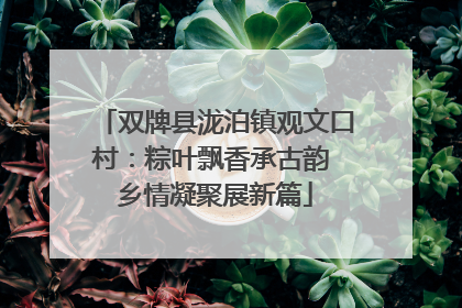 双牌县泷泊镇观文口村：粽叶飘香承古韵 乡情凝聚展新篇