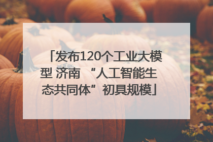 发布120个工业大模型 济南 “人工智能生态共同体”初具规模