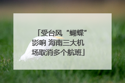 受台风“蝴蝶”影响 海南三大机场取消多个航班
