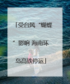 受台风“蝴蝶”影响 海南环岛高铁停运