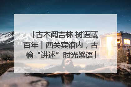 古木阅吉林 树语藏百年｜西关宾馆内，古榆“讲述”时光絮语