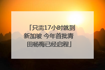 只需17小时就到新加坡 今年首批青田杨梅已经启程