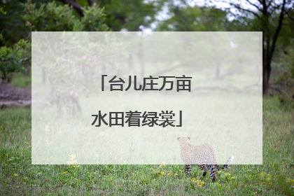 台儿庄万亩水田着绿裳