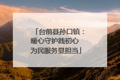 台前县孙口镇：暖心守护践初心 为民服务显担当