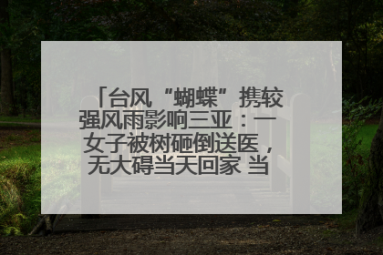 台风“蝴蝶”携较强风雨影响三亚：一女子被树砸倒送医，无大碍当天回家 当地已紧急清障