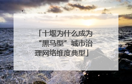 十堰为什么成为“黑马型”城市治理网络维度典型
