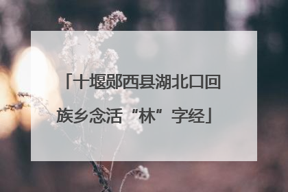 十堰郧西县湖北口回族乡念活“林”字经