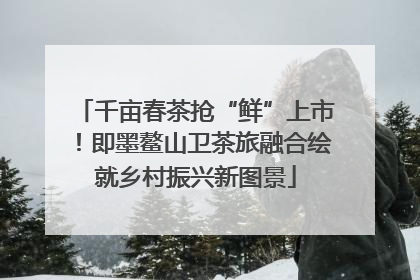 千亩春茶抢“鲜”上市！即墨鳌山卫茶旅融合绘就乡村振兴新图景