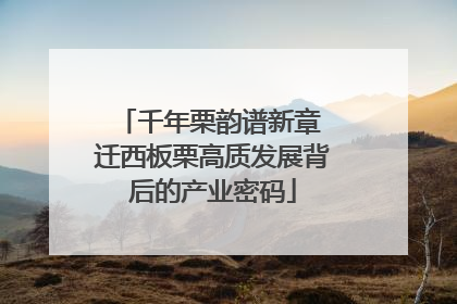 千年栗韵谱新章 迁西板栗高质发展背后的产业密码