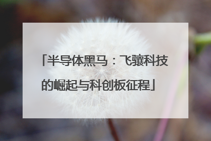 半导体黑马：飞骧科技的崛起与科创板征程