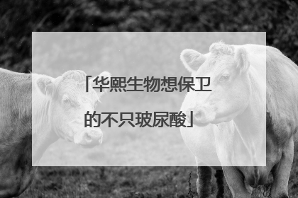 华熙生物想保卫的不只玻尿酸