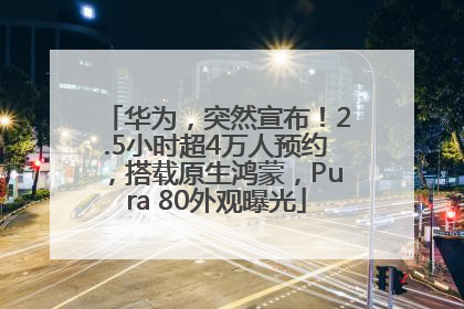 华为，突然宣布！2.5小时超4万人预约，搭载原生鸿蒙，Pura 80外观曝光