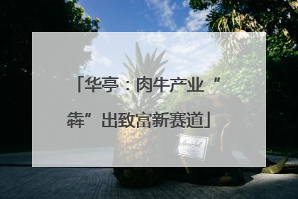 华亭：肉牛产业“犇”出致富新赛道