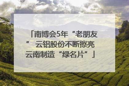 南博会5年“老朋友” 云铝股份不断擦亮云南制造“绿名片”