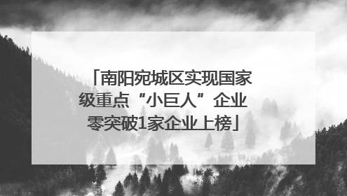 南阳宛城区实现国家级重点“小巨人”企业零突破1家企业上榜