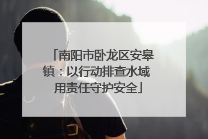 南阳市卧龙区安皋镇：以行动排查水域 用责任守护安全