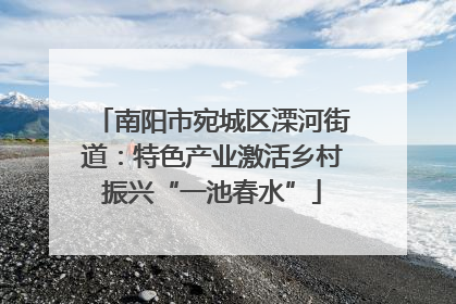 南阳市宛城区溧河街道：特色产业激活乡村振兴“一池春水”