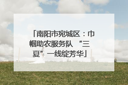 南阳市宛城区：巾帼助农服务队 “三夏”一线绽芳华