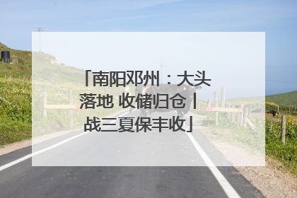 南阳邓州：大头落地 收储归仓丨战三夏保丰收
