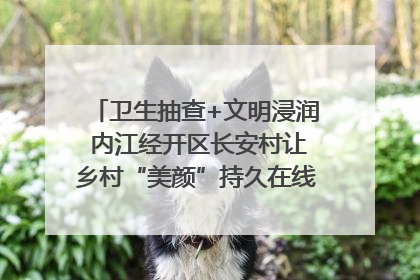 卫生抽查+文明浸润 内江经开区长安村让乡村“美颜”持久在线｜万千气象看四川