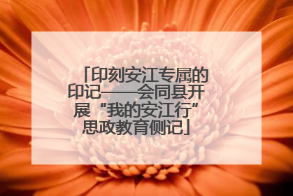 印刻安江专属的印记——会同县开展“我的安江行”思政教育侧记