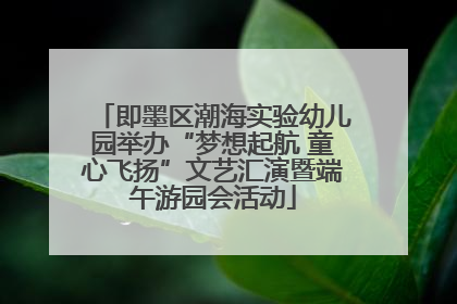 即墨区潮海实验幼儿园举办“梦想起航 童心飞扬”文艺汇演暨端午游园会活动