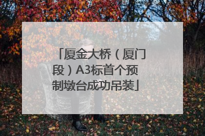 厦金大桥（厦门段）A3标首个预制墩台成功吊装