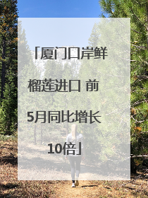 厦门口岸鲜榴莲进口 前5月同比增长10倍