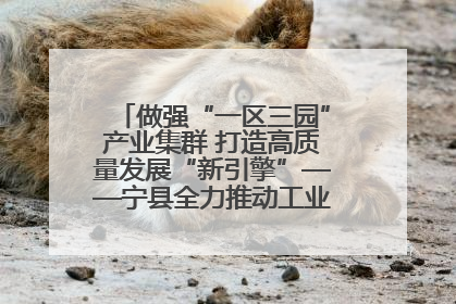 做强“一区三园”产业集群 打造高质量发展“新引擎”——宁县全力推动工业经济提质增效