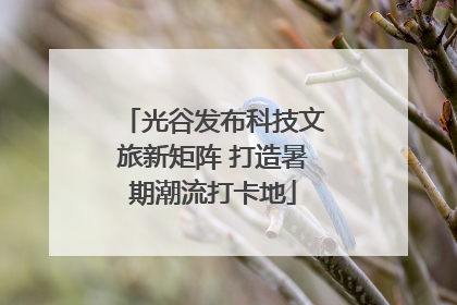 光谷发布科技文旅新矩阵 打造暑期潮流打卡地