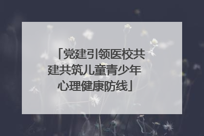 党建引领医校共建共筑儿童青少年心理健康防线