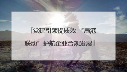 党建引领提质效 “局港联动”护航企业合规发展