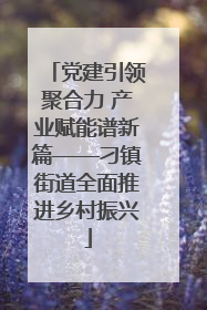 党建引领聚合力 产业赋能谱新篇——刁镇街道全面推进乡村振兴