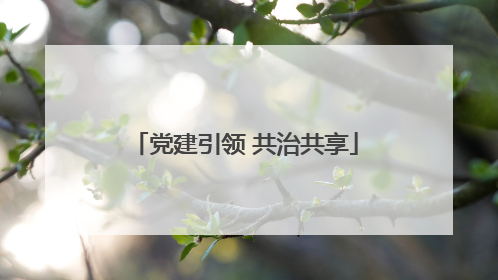 党建引领 共治共享