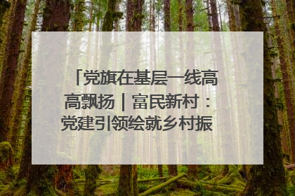 党旗在基层一线高高飘扬｜富民新村：党建引领绘就乡村振兴美丽画卷