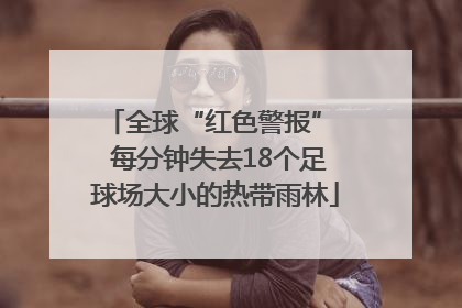 全球“红色警报”  每分钟失去18个足球场大小的热带雨林