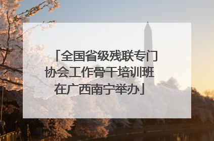 全国省级残联专门协会工作骨干培训班在广西南宁举办