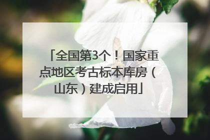 全国第3个！国家重点地区考古标本库房（山东）建成启用