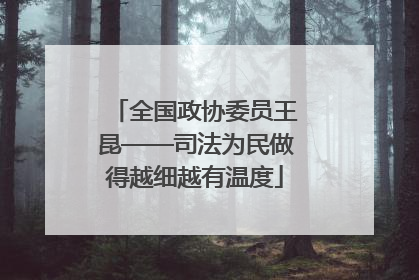 全国政协委员王昆——司法为民做得越细越有温度
