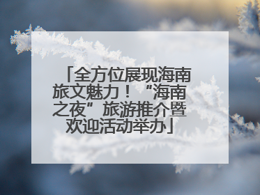 全方位展现海南旅文魅力！“海南之夜”旅游推介暨欢迎活动举办