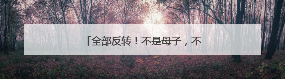 全部反转！不是母子，不是考公，不是舍不得打车