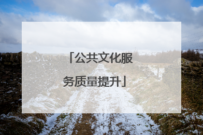 公共文化服务质量提升