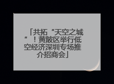共拓“天空之城”！黄陂区举行低空经济深圳专场推介招商会