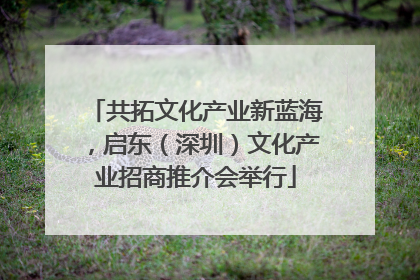 共拓文化产业新蓝海，启东（深圳）文化产业招商推介会举行
