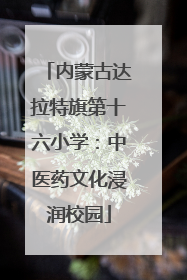 内蒙古达拉特旗第十六小学：中医药文化浸润校园