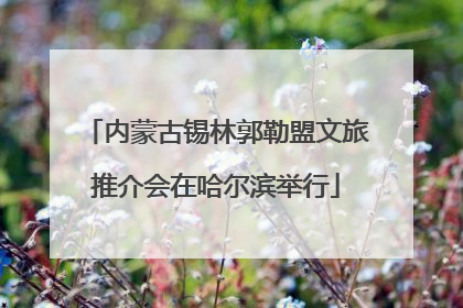 内蒙古锡林郭勒盟文旅推介会在哈尔滨举行
