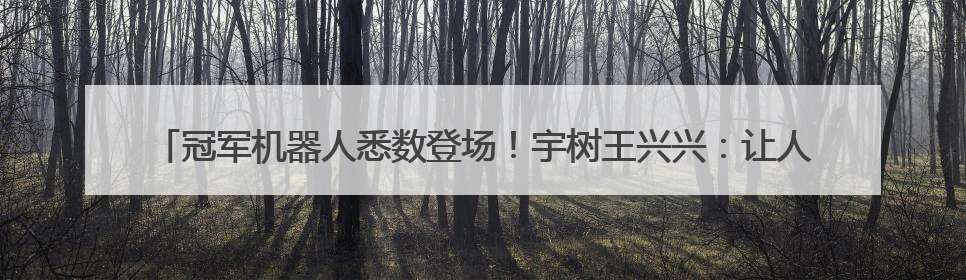 冠军机器人悉数登场！宇树王兴兴：让人形机器人马上进入家庭等场景并不现实