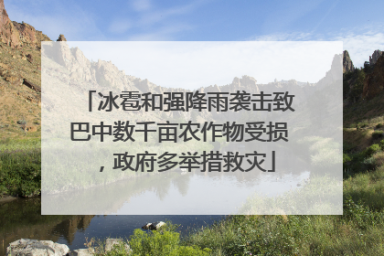 冰雹和强降雨袭击致巴中数千亩农作物受损，政府多举措救灾